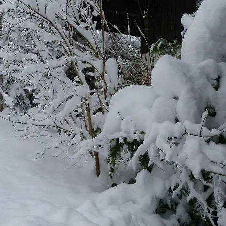 In Mit Garten Zenting